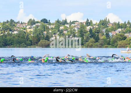 Seattle Park 1,6 offenen Wasser schwimmen, East Beach, Green Lake, Seattle, WA Stockfoto