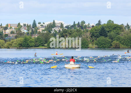 Seattle Park 1,6 offenen Wasser schwimmen, East Beach, Green Lake, Seattle, WA Stockfoto