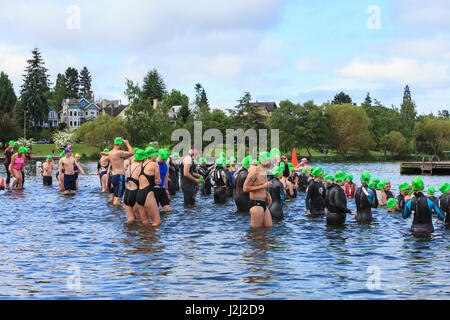 Seattle Park 1,6 offenen Wasser schwimmen, East Beach, Green Lake, Seattle, WA Stockfoto