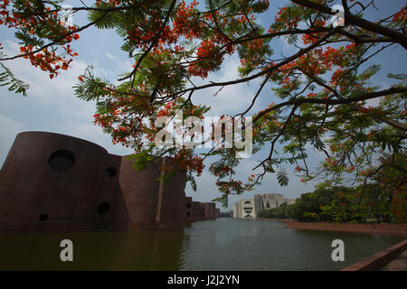 Royal Poinciana Delonix Regia lokal als Krishnachura im nationalen Parlament Gebäude-Komplex bekannt. Dhaka, Bangladesch. Stockfoto