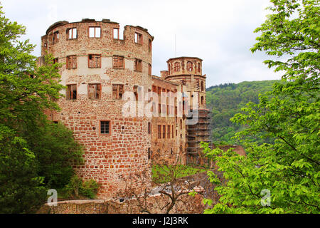 Ruinen des Schlosses in Heidelberg, Deutschland Stockfoto