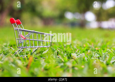 Nahaufnahme Schuss von Einkaufswagen über Natur grünen Hintergrund geringe Schärfentiefe mit Textfreiraum Stockfoto