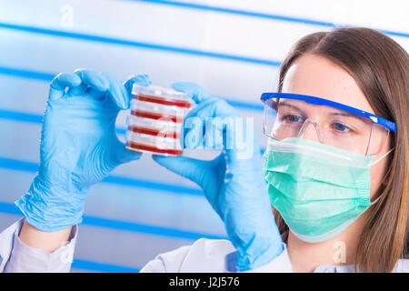 Wissenschaftlerin tragen Masken und Schutzbrillen Prüfung Petrischalen. Stockfoto