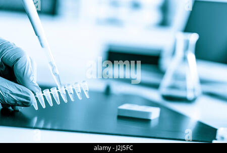 Mikropipette und Eppendorf-Röhrchen. Stockfoto