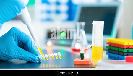 Mikropipette und Eppendorf-Röhrchen. Stockfoto