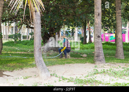 Sanya, China 23. April 2017 - chinesischer Arbeiter Bewässerung Rasen und Schlauch Bäume in einer Küstenstadt Gasse befindet sich am Ufer des Südchinesischen Meeres in Sanya Bay Stockfoto