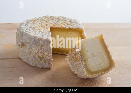 Handwerklichen Käse aus Ziegenmilch. Stockfoto