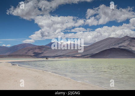 Laguna Salar de talarer, ein Salz Wohnung in der hohen Puna der Anden in die Atacama-Wüste in Chile in einer Höhe von 3.950 m Stockfoto