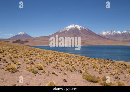 Lake Miscanti (Laguna Miscanti) ein Brackwasser-See auf über 4000 Metern Höhe in das Altiplano in Los Flamencos National Reserve, Chile Stockfoto