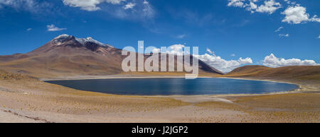 Lake Miñiques (Laguna Miñiques) ein Brackwasser-See auf über 4000 Metern Höhe in das Altiplano in Los Flamencos National Reserve, Chile Stockfoto