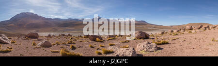 El Tatio Geysirfeld in den Anden im Norden Chiles in einer Höhe von 4.320 Meter und in der Nähe der Grenze zu Bolivien Stockfoto