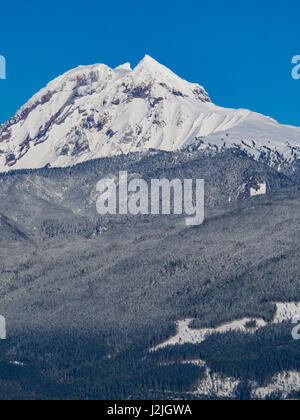 Berggipfel aus dem Tantalus in Britisch-Kolumbien. Stockfoto