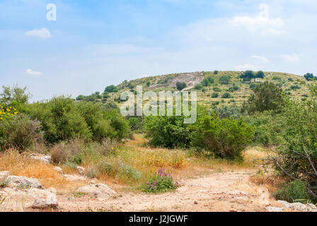 Blick auf biblische Landschaft Bet Guvrin-Maresha. Maresha Marissa ist auch die berühmten touristischen und archäologische Stätte in Israel Stockfoto