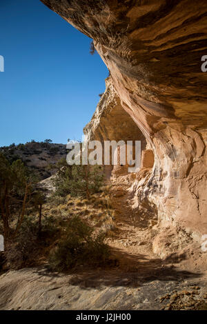 Tower House Ruin, Comb Ridge, Utah. Bären Ohren Nationaldenkmal. Stockfoto