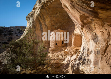 Tower House Ruin, Comb Ridge, Utah. Bären Ohren Nationaldenkmal. Stockfoto