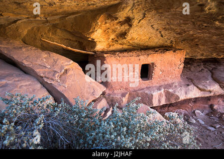 Indischen Ruinen in Slickhorn Canyon, Cedar Mesa Bereich, Utah. Bären Ohren Nationaldenkmal. Stockfoto