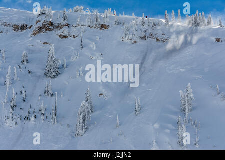 Explosive Hand kostenlos zur Auslösung und Steuerung Avalanche im Grand Targhee Ski Resort Stockfoto