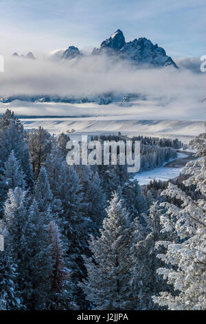 Grand Teton und Schichten von Nebel, Snake River überblicken (großformatige Größen erhältlich) Stockfoto