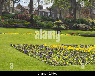 Eines der vielen Gärten in Montpellier Bezirk von Harrogate im Northern Quarter, aufgenommen im Frühling.  Harrogate, North Yorkshire, England UK Stockfoto