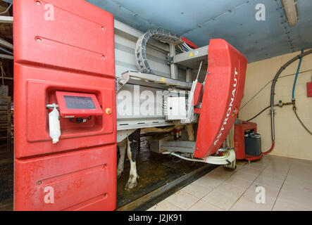 Ein Astronaut Roboter Melkmaschine arbeiten in einem Schrank-Haus auf einer Milchfarm, Staffordshire. Stockfoto