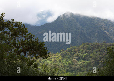 Nebel über Nebelwäldern im Tandayapa Valley, in den Andenbergen, in der Provinz Pichincha, Ecuador Stockfoto