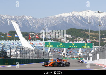 Sotschi, Russland. 28. April 2017. 28.04.2017, Sochi Autodrom, Sotschi, VTB russischen GRAND PRIX Formel 1, 28.04. -30.04.2017 Fernando Alonso (SPA #14), McLaren-Honda-Foto: Cronos/Hasan Bratic Stockfoto