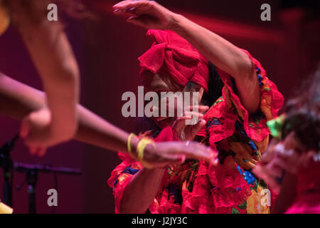 London, UK. 28. April 2017. Toto la Momposina im Konzert in der Cadongan Hall in London, Vereinigtes Königreich. Bildnachweis: Brayan Lopez/Alamy Live-Nachrichten Stockfoto