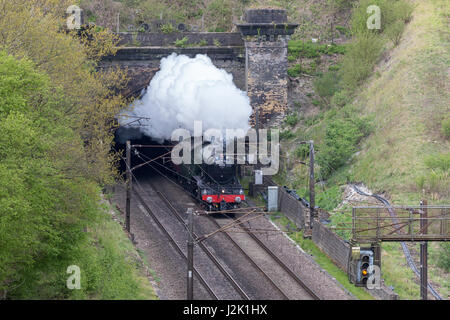 Welwyn Norden, Vereinigtes Königreich. 29. April 2017. Flying Scotsman verlässt den Welwyn-Tunnel auf der ersten Etappe der zehntägigen Großbritannien Dampf Charta.  Die Welt berühmten Dampflokomotive übergebe, Union of South Africa in York. Bildnachweis: Andrew Plummer/Alamy Live-Nachrichten Stockfoto