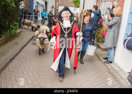 Wimborne, Dorset, UK. 29. April 2017. Vielleicht wurden zum ersten Mal, aber sicherlich nicht seit Menschengedenken, Schafe durch Teil der Stadt Wimborne Minster angetrieben von der Stadt Bürgermeister Cllr Frau Sue Cook, die aktuellen zwei Freemen Anthony Oliver und Grant Bocking und freien Margery Ryan. Bildnachweis: Gary Lawton/Fotografien von Gary/Alamy Live News Stockfoto