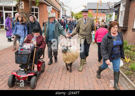 Wimborne, Dorset, UK. 29. April 2017. Vielleicht wurden zum ersten Mal, aber sicherlich nicht seit Menschengedenken, Schafe durch Teil der Stadt Wimborne Minster angetrieben von der Stadt Bürgermeister Cllr Frau Sue Cook, die aktuellen zwei Freemen Anthony Oliver und Grant Bocking und freien Margery Ryan. Bildnachweis: Gary Lawton/Fotografien von Gary/Alamy Live News Stockfoto