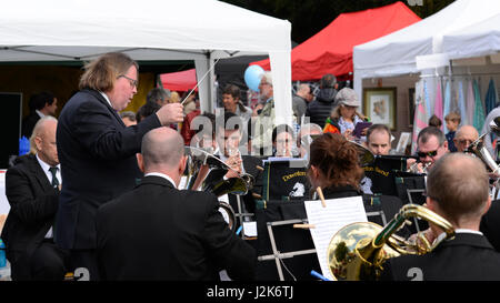 Wiltshire, Großbritannien, 29.. April 2017, Feiertag am Wochenende in Downton Cuckoo Fair. Blaskapelle spielt unter der Leitung eines Dirigenten. Stockfoto