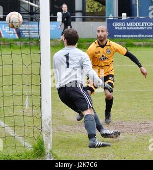 Neue Mühlen Derbyshire, Großbritannien. 29 Apr, 2017. Nathan Neequaye (neue Mühlen) Kerben die zweite seiner drei Ziele in den 3-3 Draw mit Squires Gate, die in der letzten Minute ausgeglichen. Ein Gewinn, obwohl, nicht neue Mühlen von einem zweiten aufeinanderfolgenden Relegation verhindert haben. Quelle: John Fryer/Alamy leben Nachrichten Stockfoto