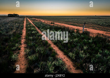 Straße am Nullarbor Plain, Western Australia, Australia Stockfoto