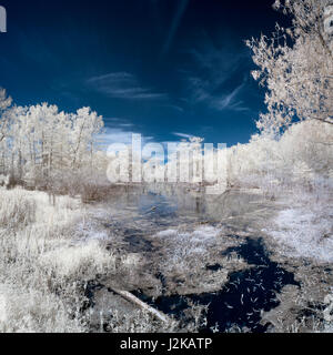 Infrarot-Bild-See-Martin, Louisiana Stockfoto