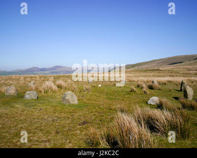 Blakeley Raise Stone Circle, auch bekannt als Kinniside Steinkreis im Lake District, Cumbria, England. Stockfoto