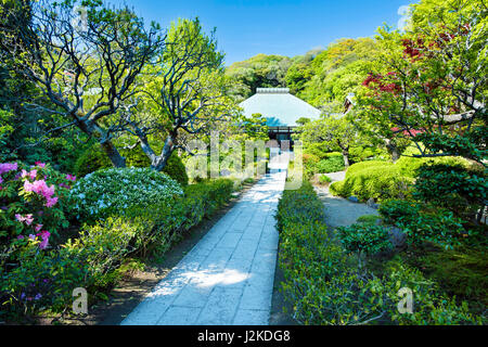 Der Eingang und der Weg zum Jomyo-Ji-Tempel in Kamakura, Japan Stockfoto