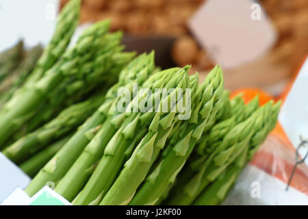 Bundle Bündel frischer grüner Garten Spargel schießt großaufnahme, erhöhte erhöhte Ansicht Stockfoto