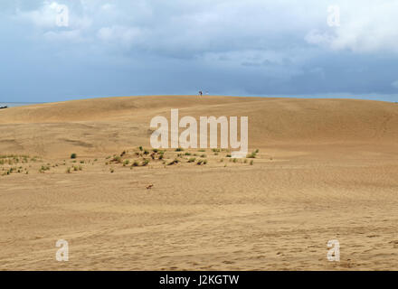 Rotfuchs (Vulpes Vulpes) und nicht identifizierbare Personen mit dramatische Wolken auf den großen Sanddünen an der Spitze des Jockeys Ridge State Park in Nags Head auf Stockfoto