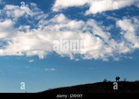 Wanderer auf Art Loeb Trail in der Nähe von Black Balsam Knopf - Blue Ridge Parkway, North Carolina, USA Stockfoto