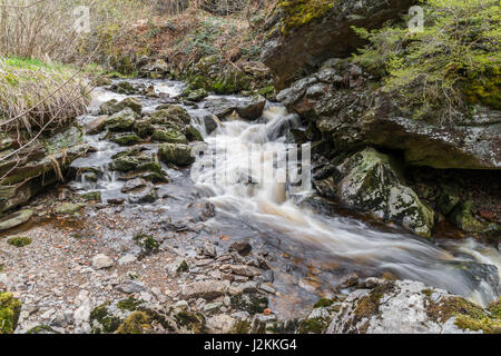 Gerinne in Spiegelau im Bayerischen Wald Stockfoto