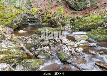 Gerinne in Spiegelau im Bayerischen Wald Stockfoto