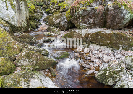 Gerinne in Spiegelau im Bayerischen Wald Stockfoto