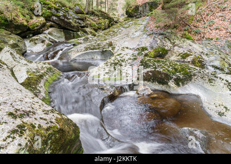 Gerinne in Spiegelau im Bayerischen Wald Stockfoto