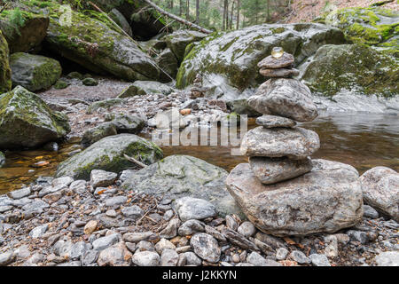 Gerinne in Spiegelau im Bayerischen Wald Stockfoto