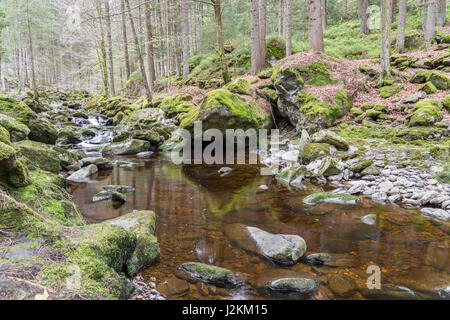 Gerinne in Spiegelau im Bayerischen Wald Stockfoto