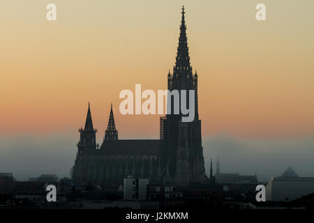 Ulm an der Donau, Baden-Württemberg, Deutschland Stockfoto