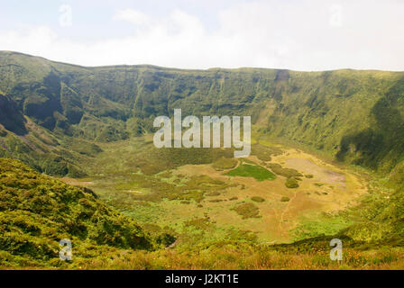 Blick ins Vulkankrater, Calderia Faial, Insel Faial, Azoren Stockfoto