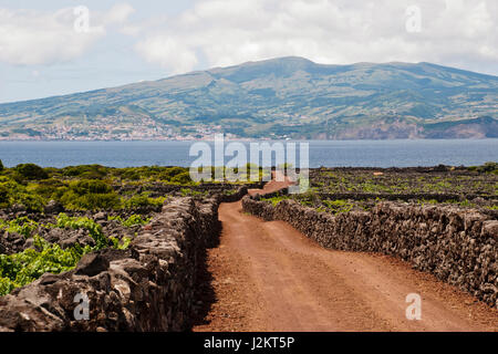 Straße zwischen Weinbergen. Alte Weinberge mit Steinen umgeben sind Teil des UNESCO Welt Heriage. Stockfoto