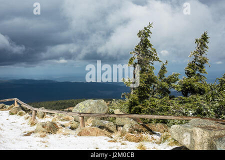 Landschaft mit Bäumen im Bereich Harz, Deutschland. Stockfoto