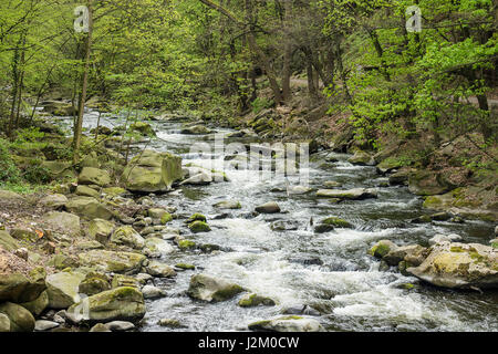 Landschaft mit Fluss Bode im Bereich Harz, Deutschland. Stockfoto